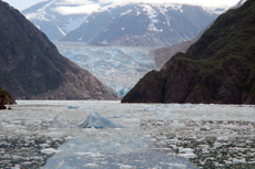 Juneau Photo Safari cruise excursion